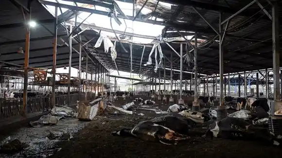 Hezbollah contraatacó a Israel con 100 cohetes: hay al menos cuatro heridos