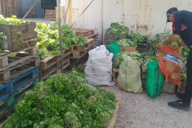 Iniciativa local recupera frutas y verduras para comedores comunitarios
