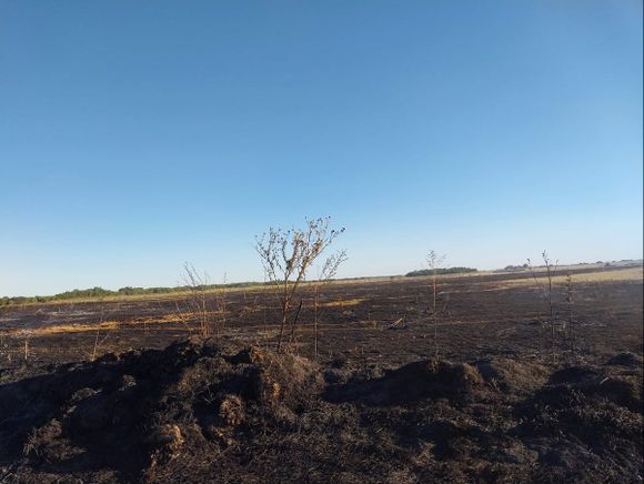 Bomberos lograron controlar un incendio de gran magnitud en Castelli