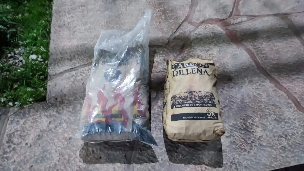 Dos bolsas de carbón