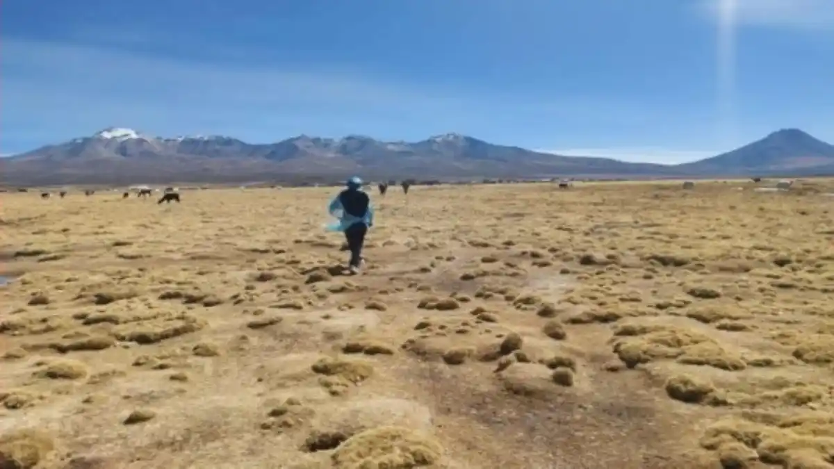Encuentran sin vida a migrante venezolana en frontera entre Chile y Bolivia