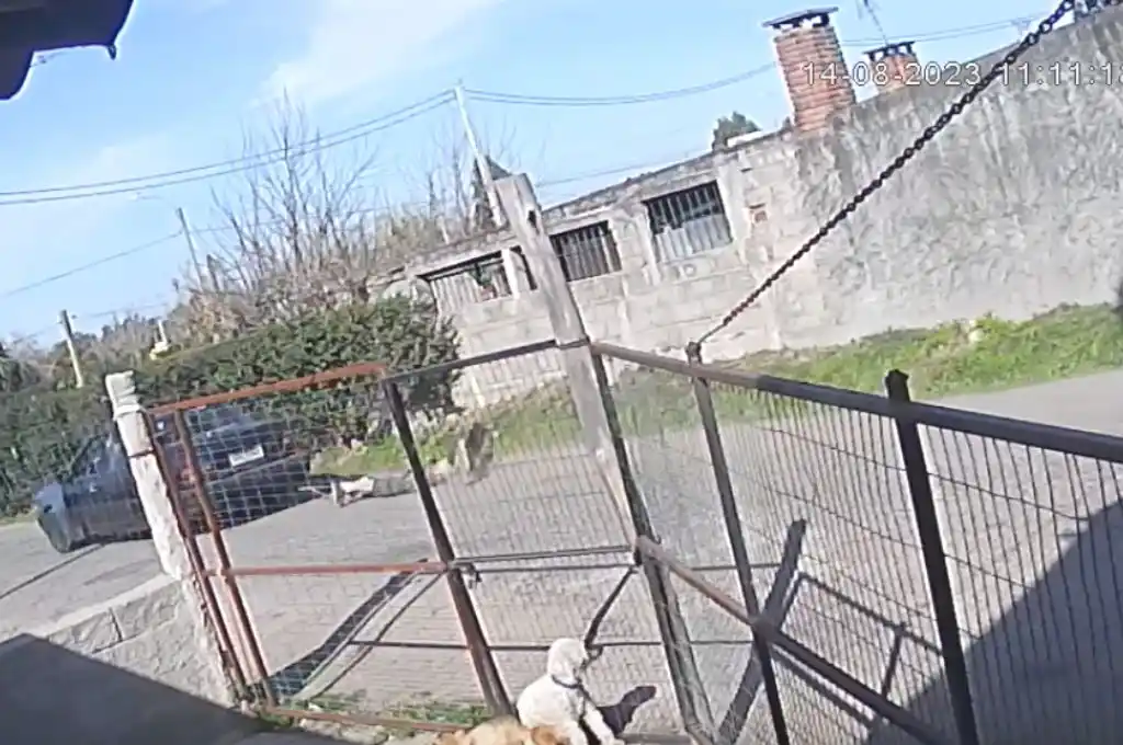 Delincuente atrapado
