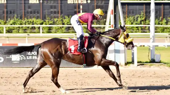 Varios clásicos en San Isidro y Palermo en la cuenta regresiva hacia el Pellegrini