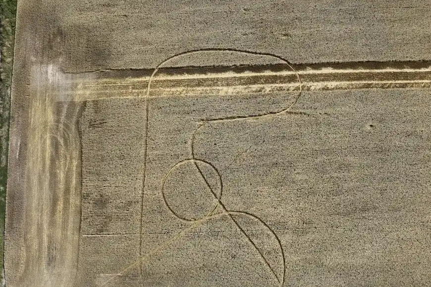 Aparecieron extrañas y sobrenaturales marcas en un campo de la región y causó enorme temor: "No estamos solos..." - 4