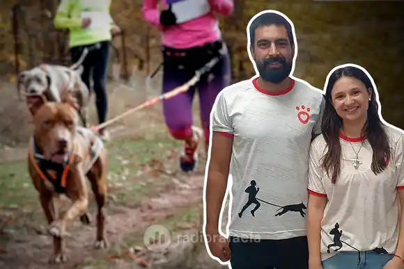 Mascoclub, un centro de bienestar canino: “Somos educadores profesionales”