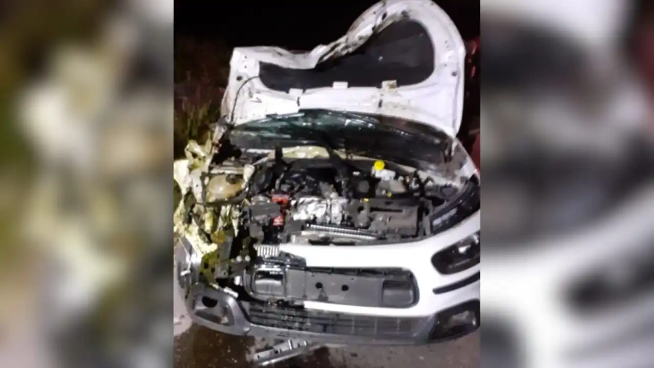 Brutal accidente en ruta 90: un firmatense chocó con un caballo suelto  