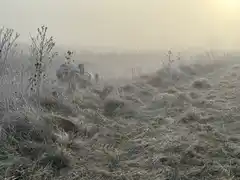 Varios vuelcos y un fallecido en la Ruta 74