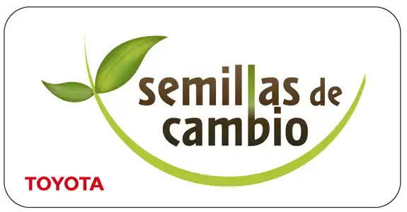 San Pedro: Escuela de Educación Secundaria 4 recibió premiación de Toyota Argentina