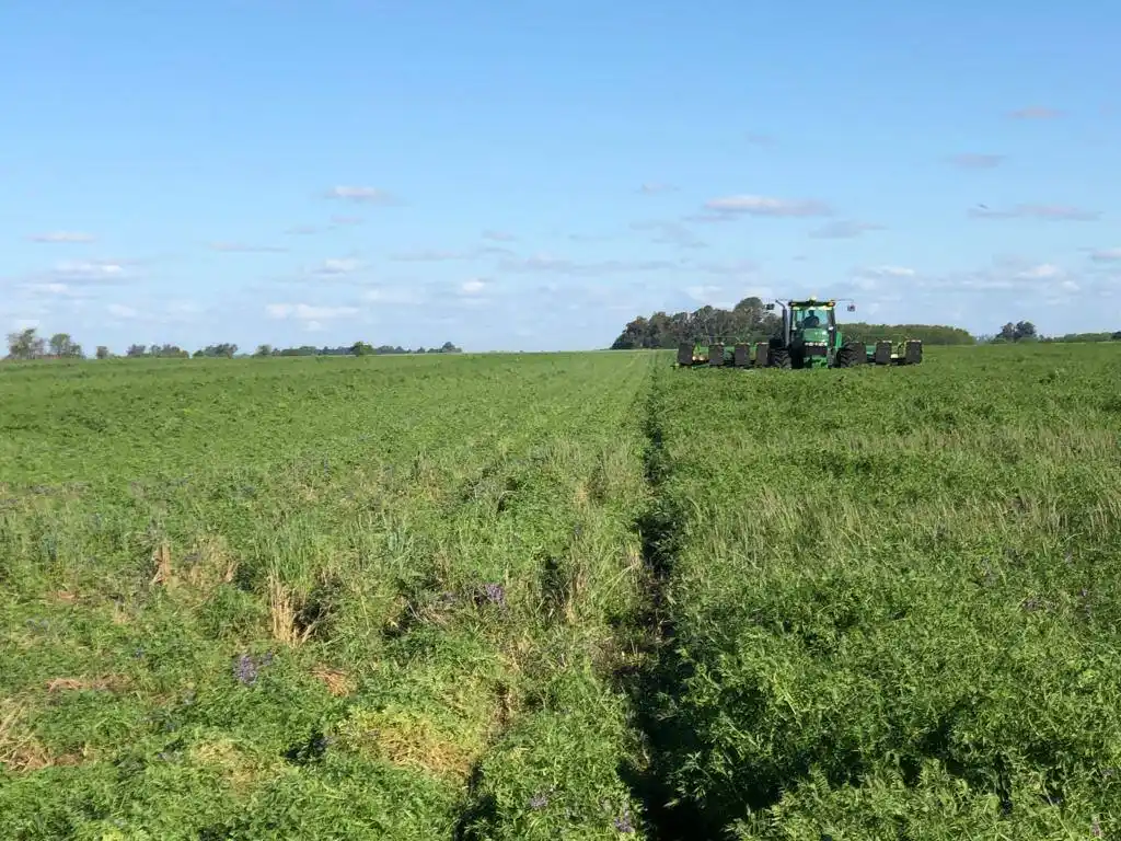 El Gobierno nacional anunciará baja de retenciones para la soja, y para la carne