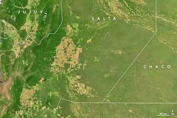 Salta elegida por la Nasa como ejemplo de deforestación