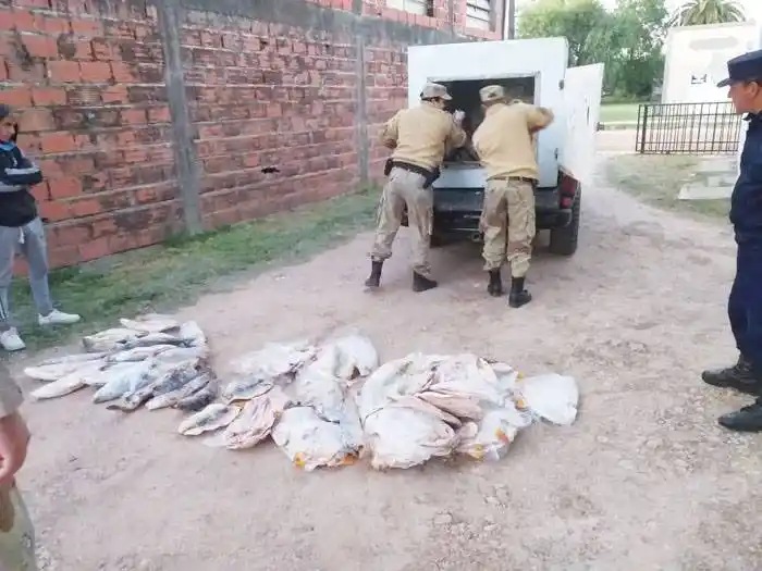 Decomisan más de  100 pescados de río por  infracción a la ley de pesca
