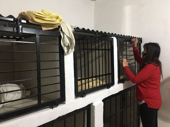 Móvil: esta semana comenzó a funcionar el Departamento Canino