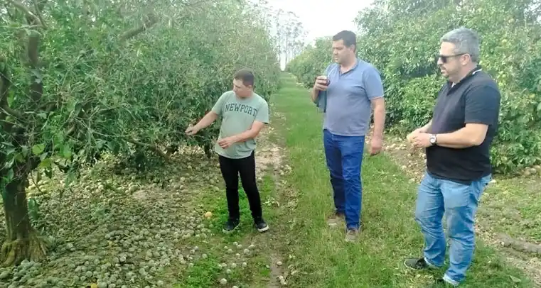 Matías Martiarena y Luciano Challio visitaron y recorrieron quintas severamente afectadas por la última tormenta de granizo