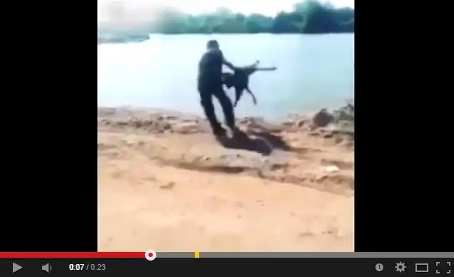 Quiso torturar a un perro pero le salió mal