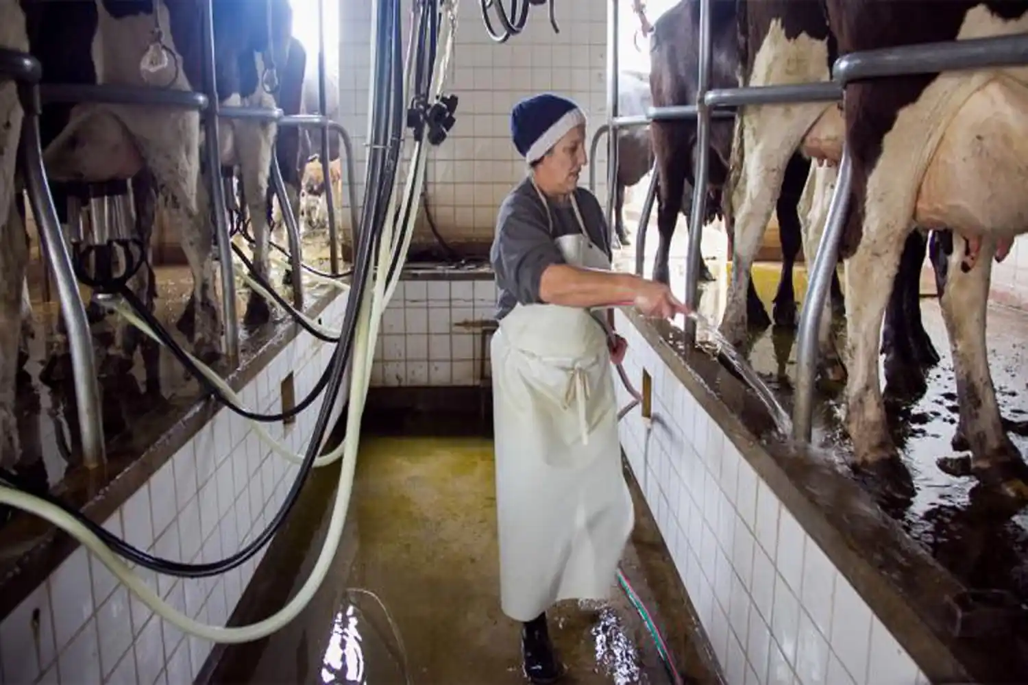 Paraná será una de las sedes de las actividades por el aniversario del INTI