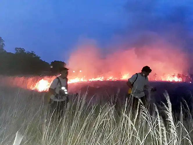 Incendio se extendió sobre 150 hectáreas