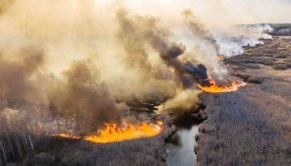 Alerta mundial por los incendios que acechan a la planta nuclear de Chernobyl