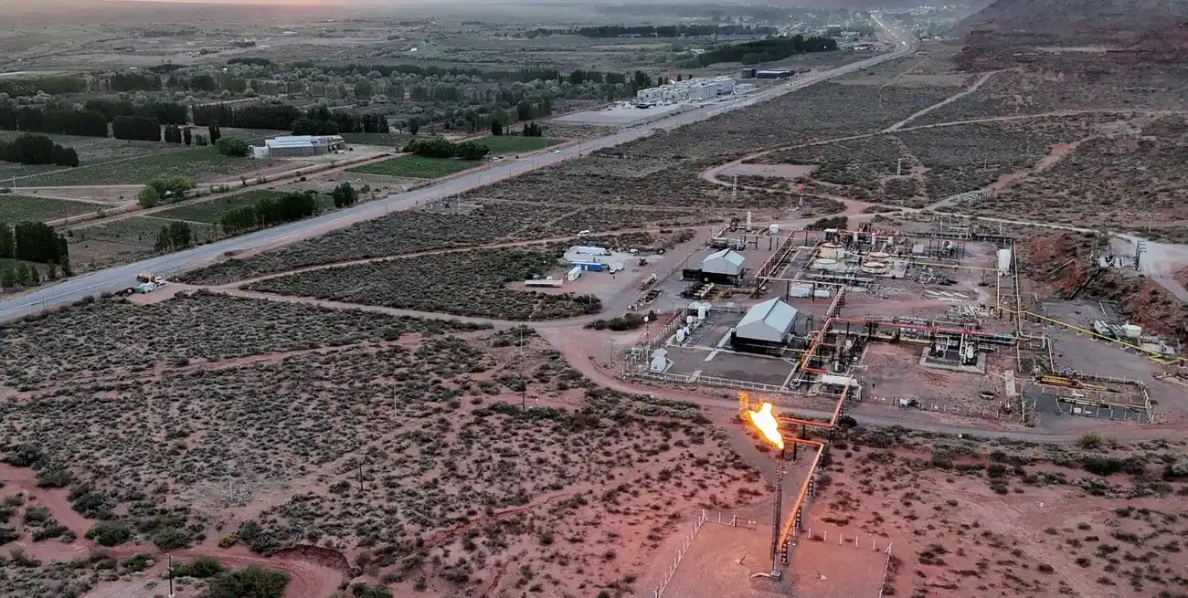 Imagen ilustrativa. Vaca Muerta. Crédito: Alexander Villegas/Reuters