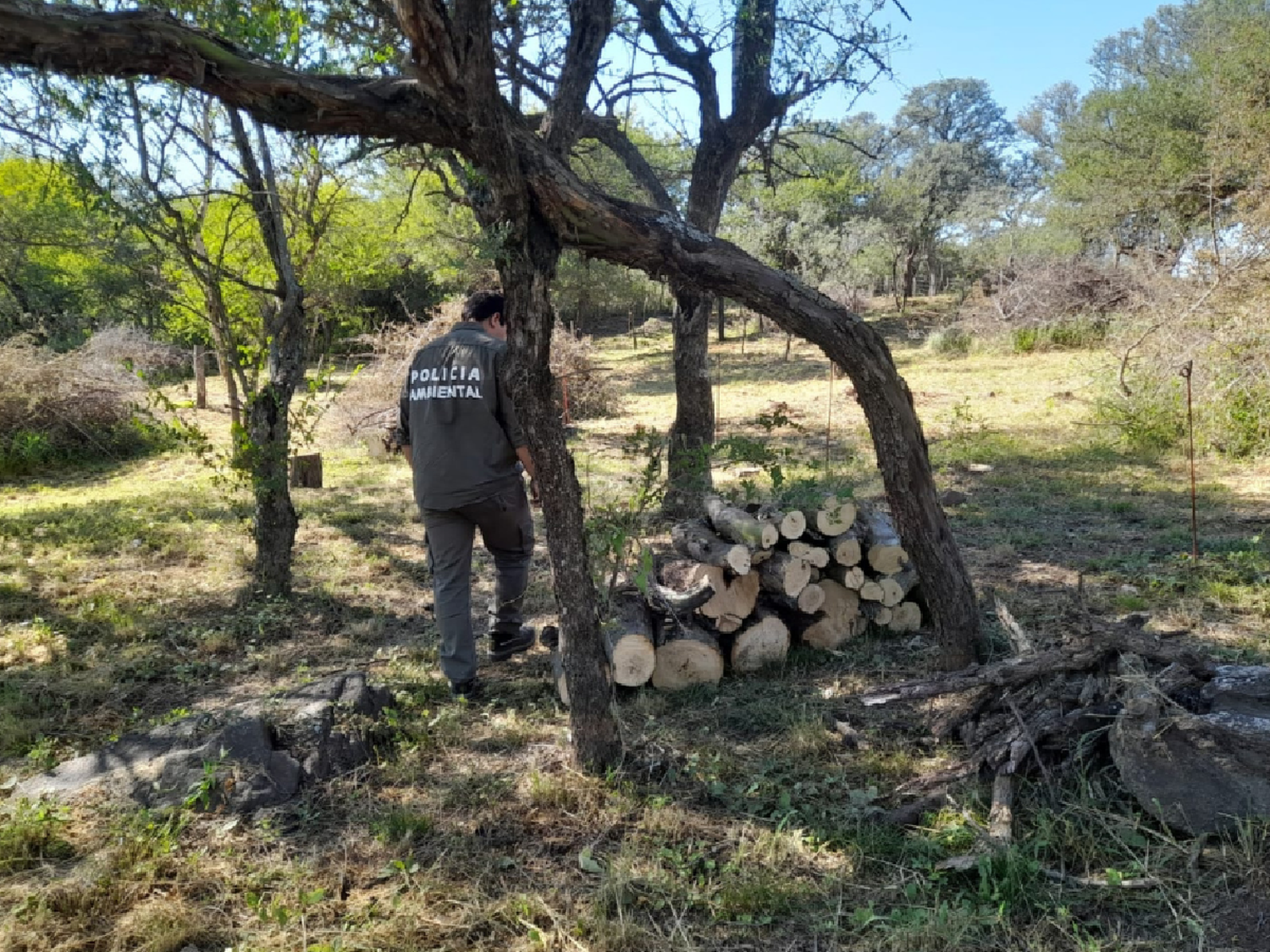 Policía Ambiental paralizó intervenciones forestales en diferentes zonas de la provincia