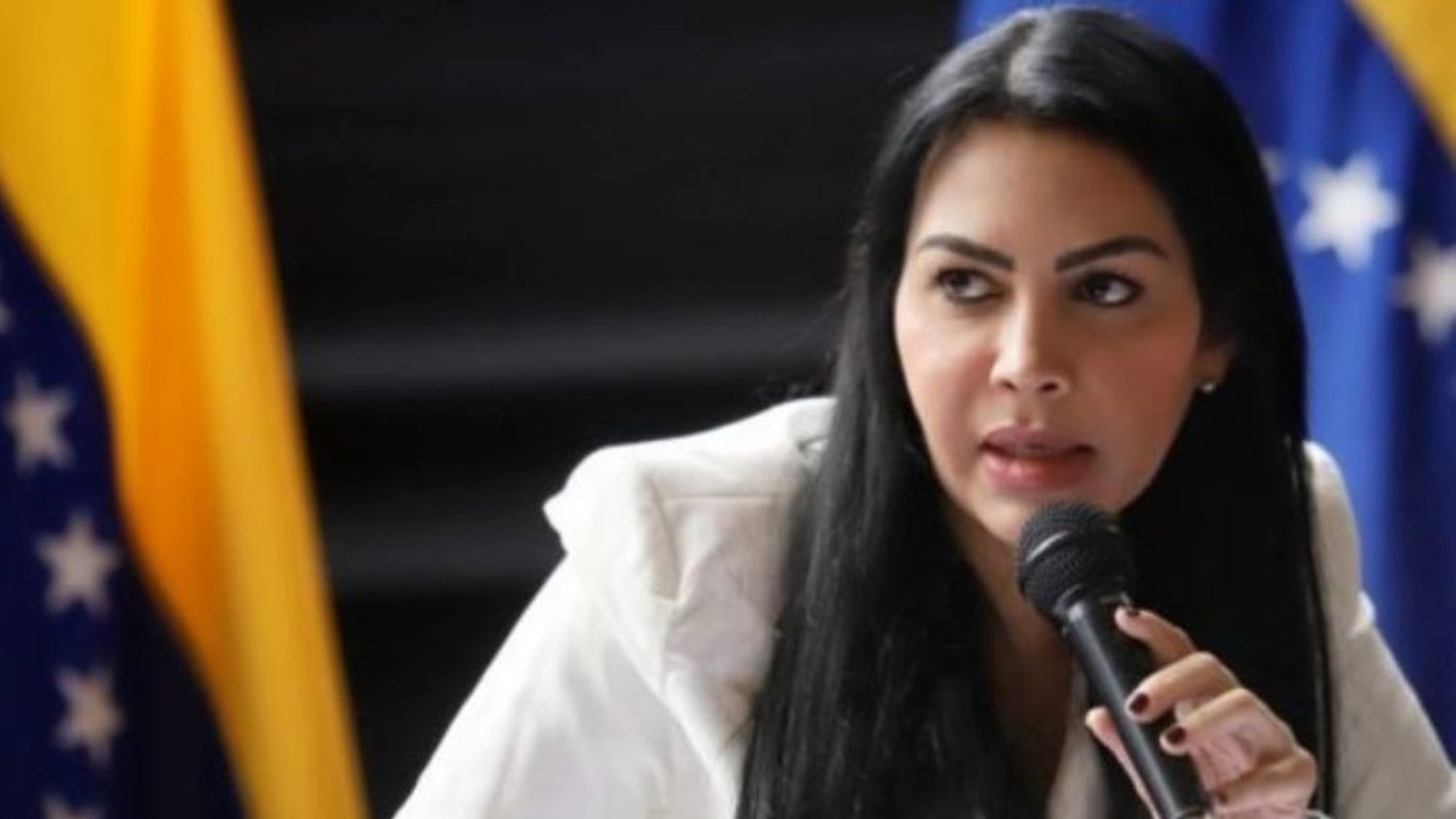 Delsa Solórzano llama a los testigos a exigir las actas: «hay motivos para celebrar» (+ Video)