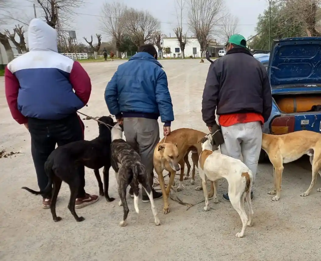 Chascomús: Se radicó denuncia penal para investigar tours de galgueros