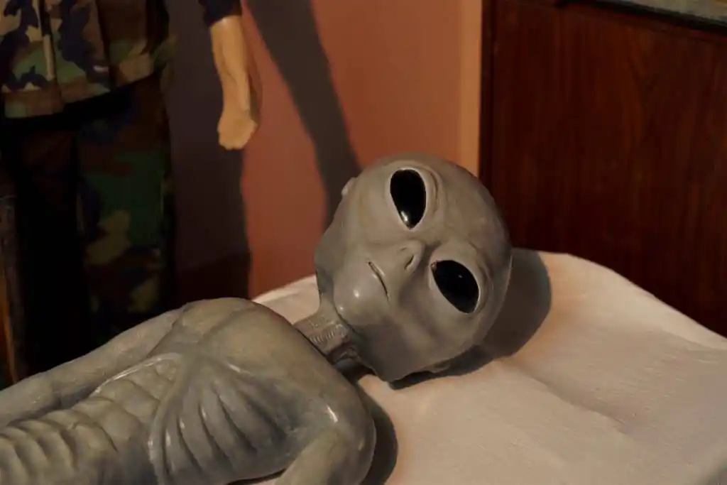 El cine nacional en el FICER