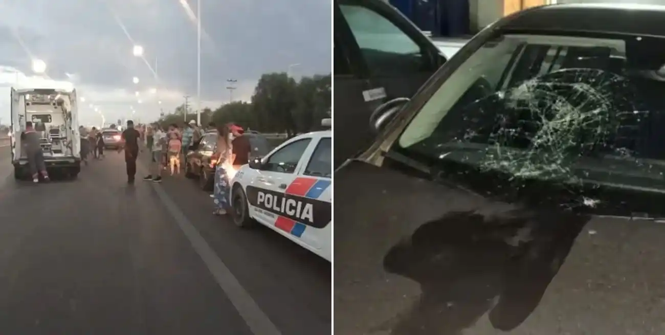 La víctima sufrió una fractura de cadera, traumatismo encéfalo craneano y graves lesiones en el pecho.