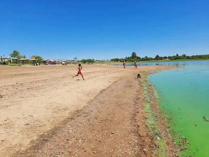 Vecino de Federación mostró en fotos el verdín que afecta a Playa Grande