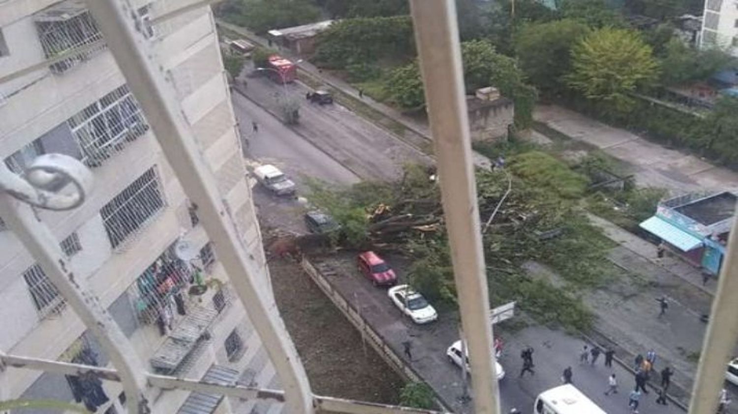 UN ABUELO MUERTO Y VARIOS HERIDOS el saldo de la caída de un árbol en Guarenas