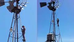 El nuevo desafío y el sueño del chico que subía al molino para enviar su tarea