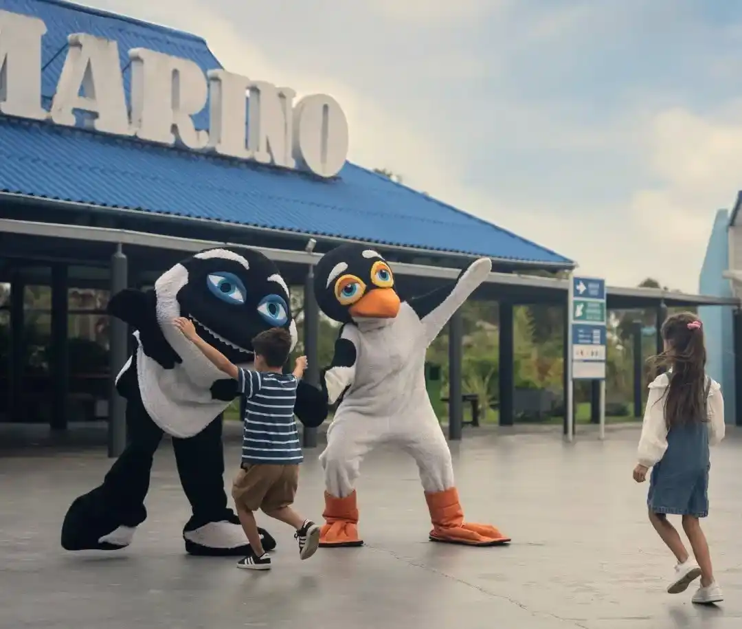 Vacaciones de invierno imperdibles en Mundo Marino con 50% de descuento para Chascomús y la región