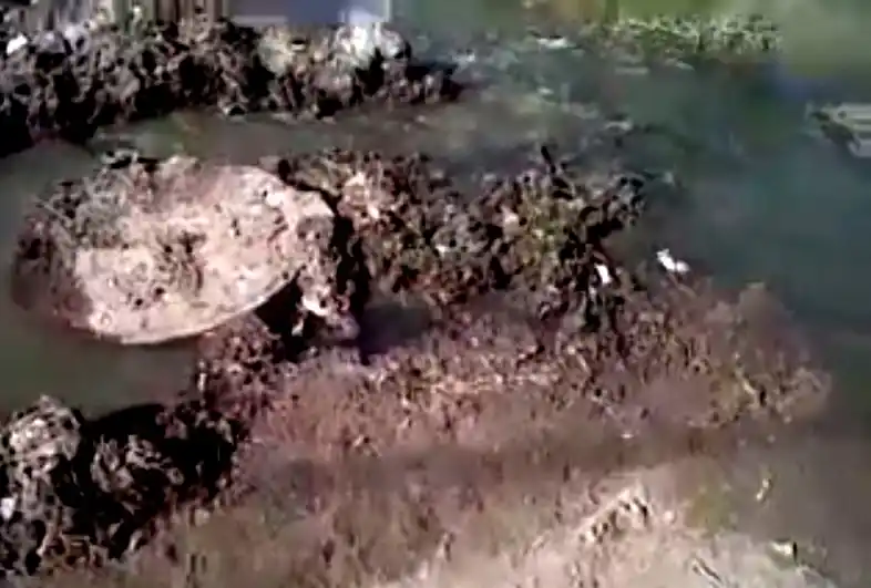 #PeriodistaPorElDía: aguas servidas en boca de tormenta en Juan B. Justo y 9 de Julio