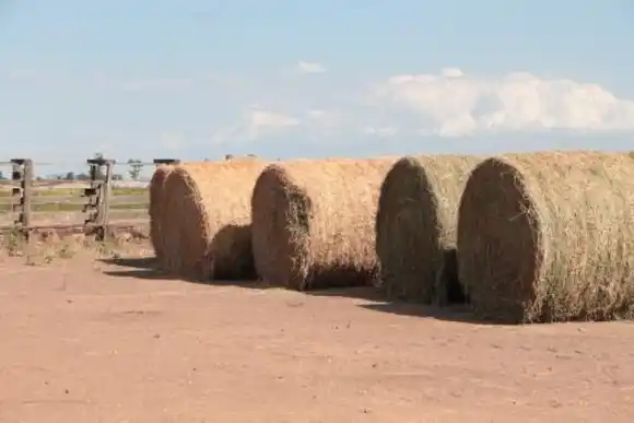 Emergencia agropecuaria: la provincia ofrece créditos con tasa bonificada por $5000 millones