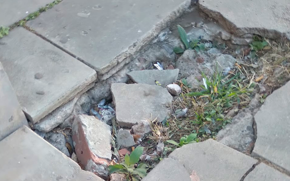 Una mujer se lastimó la cara al tropezar en una vereda en mal estado