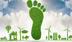 La huella de carbono en el contexto del consumo y la política