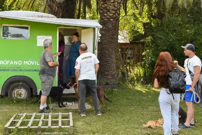 El municipio acompaña a APACH, VyDA y Rescate Voluntario con operativos mensuales de esterilización, en el marco del Programa Municipal de Castraciones Gratuitas.