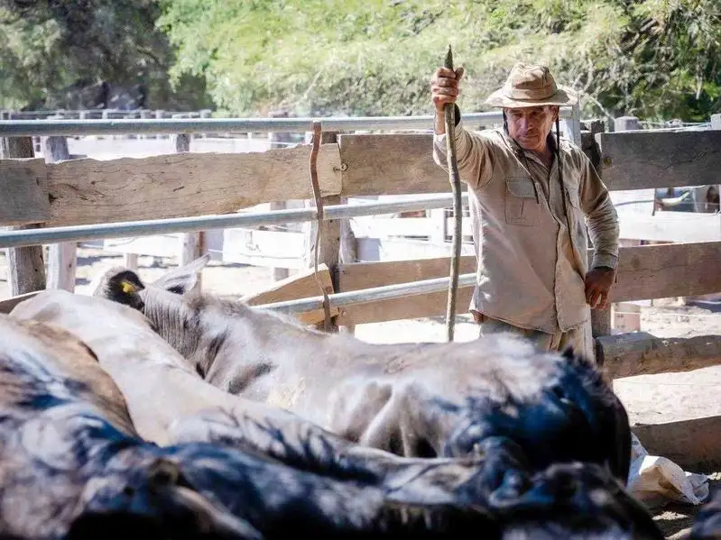 El Ministerio de la Producción apunta a reforzar
el acompañamiento a los pequeños productores