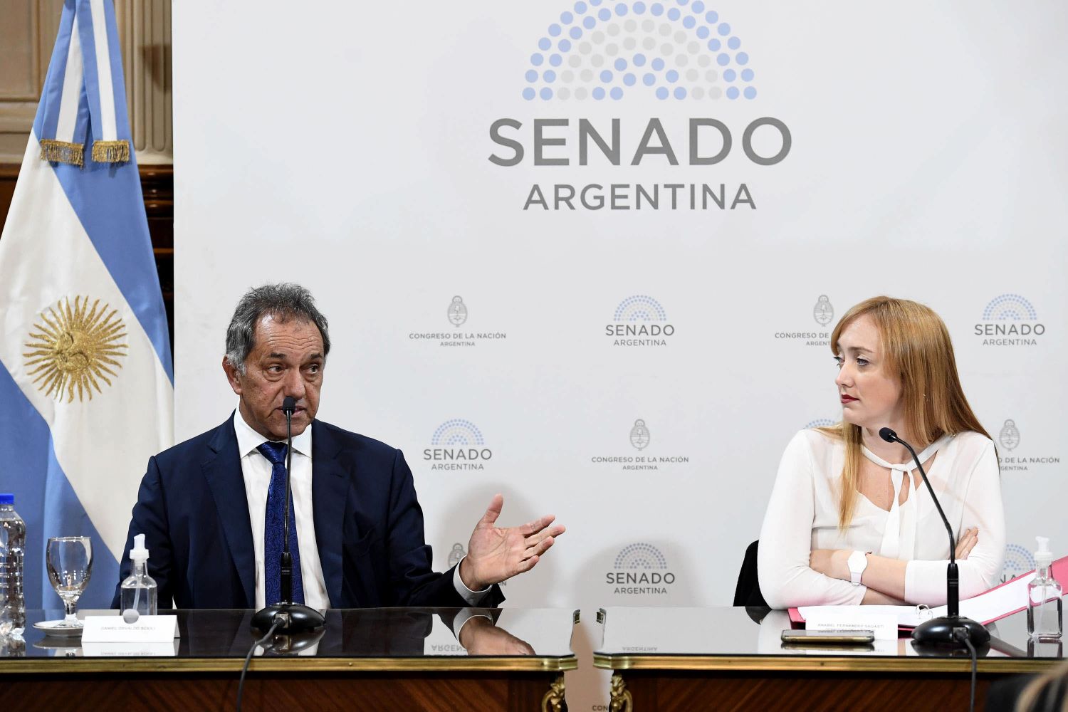 Scioli defendió en el Senado su pliego para volver a ser embajador en Brasil