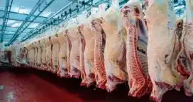 El maíz y las carnes lideran el crecimiento agroexportador 2018