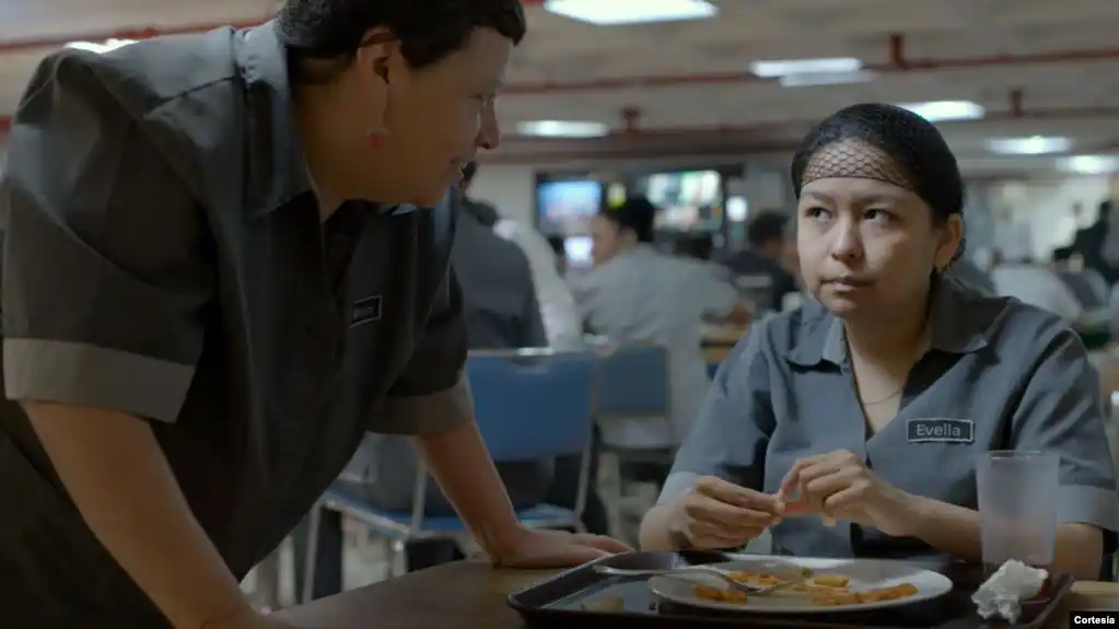 Películas latinoamericanas aspiran al Oscar