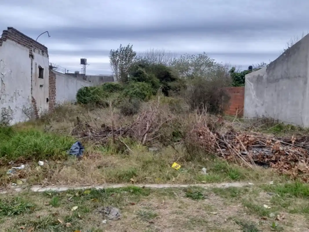 Intensifica los controles en los terrenos baldíos de la ciudad para prevenir el dengue