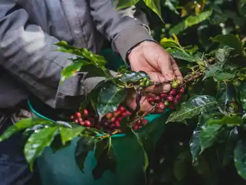 Medida de EEUU que elimina el arancel del 10% amplía las oportunidades para Colombia, según AmCham