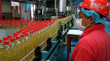 El Gobierno oficializó la prórroga por 60 días de la prohibición de realizar despidos sin causa

