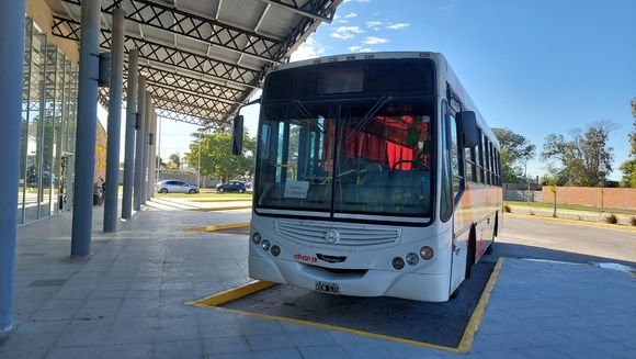 Trenes y colectivos: todas las frecuencias y horarios en San Pedro