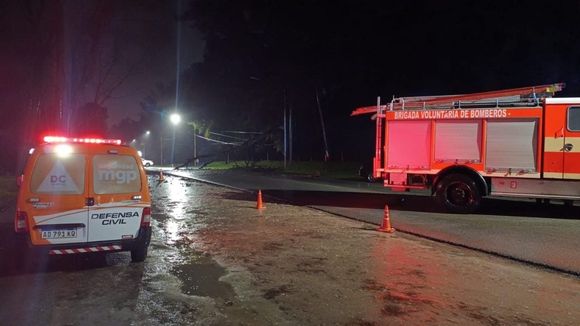 Temporal: Una rama de ocho metros cayó en la avenida principal de Sierra de los Padres y provocó un choque