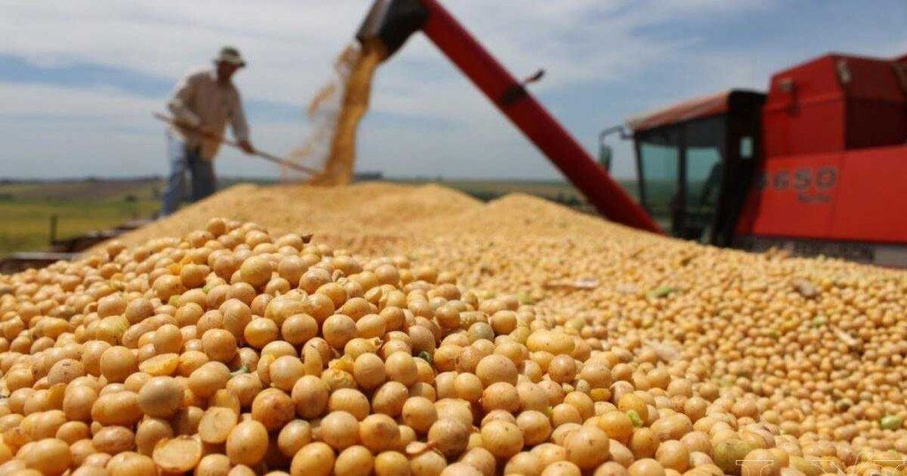 Julio fue un mes récord en el ingreso de dólares del campo