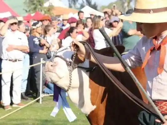El Gobierno de Entre Ríos impulsa una mesa técnica para coordinar estrategias contra la tristeza bovina