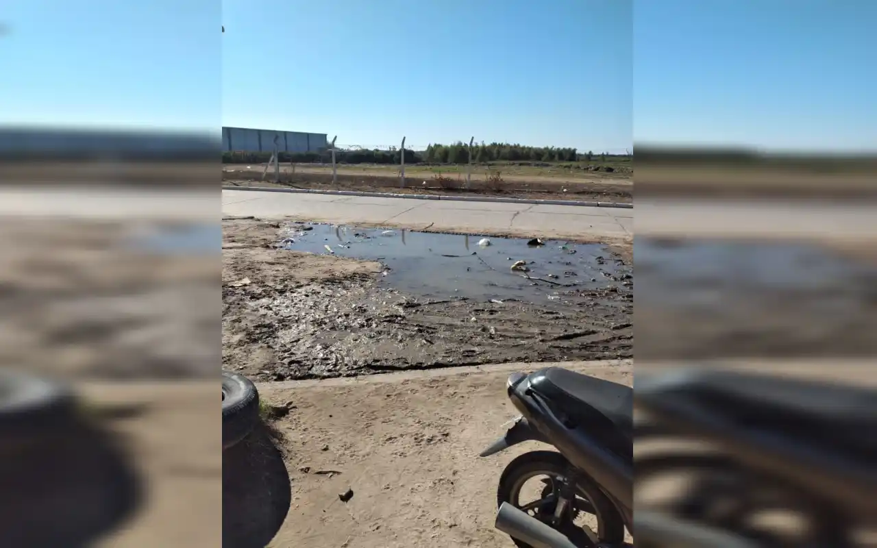 Luján pide el arreglo de una calle poceada