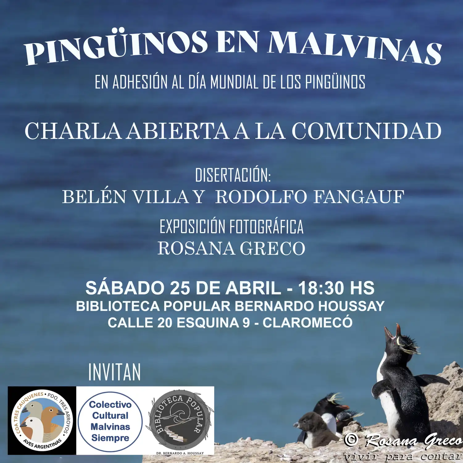 pinguinos