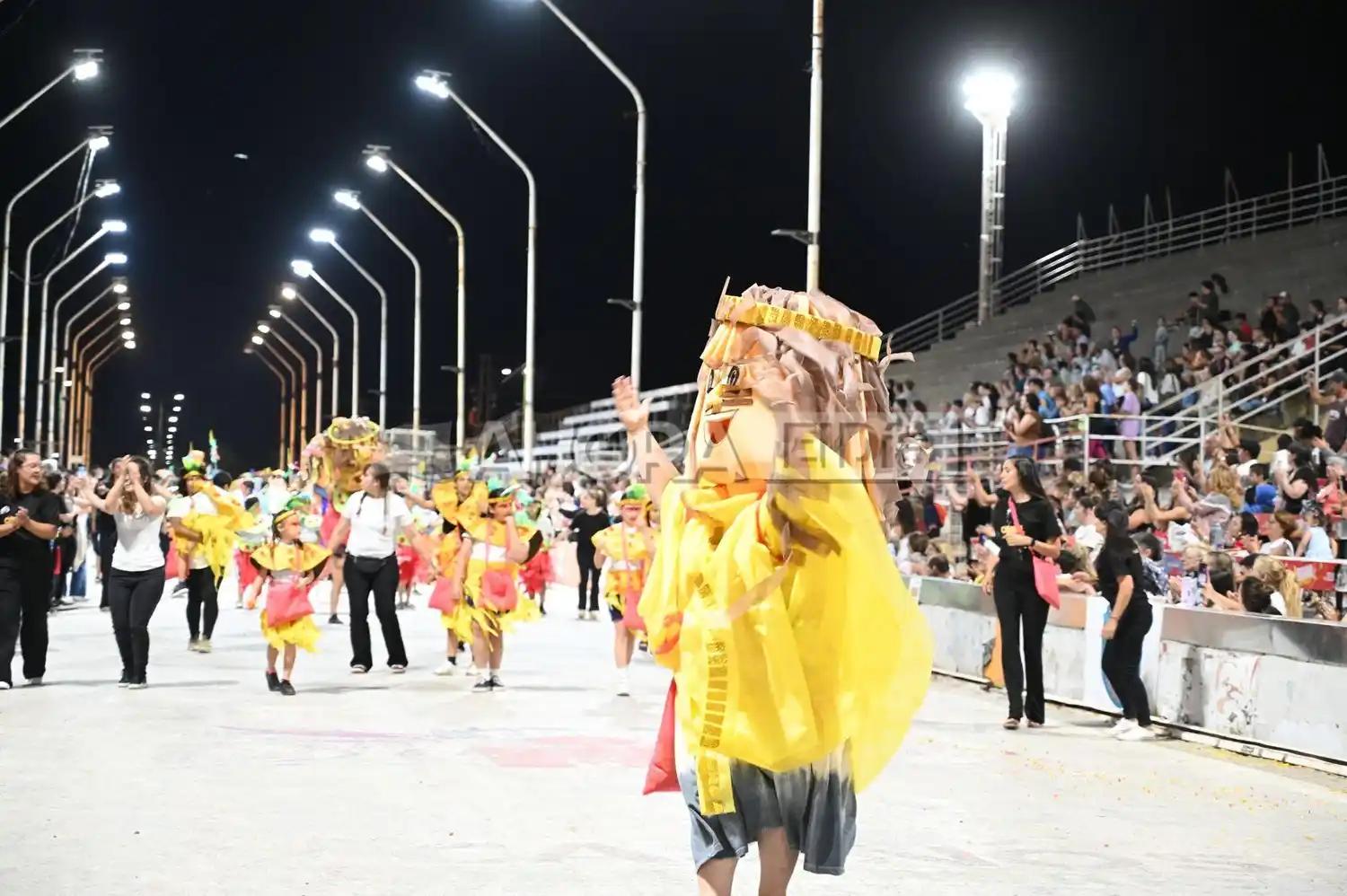 carnaval con todos - 3